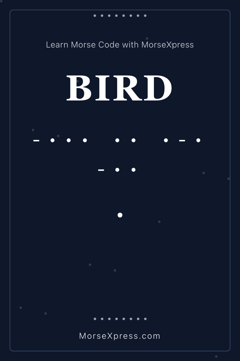 BIRD Morse Code Share Card - Learn with MorseXpress
